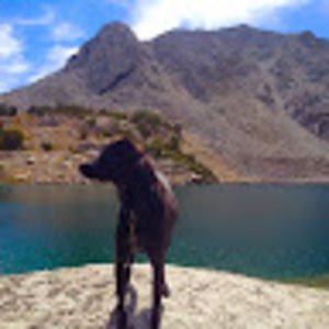 Meet your Posher, Tami